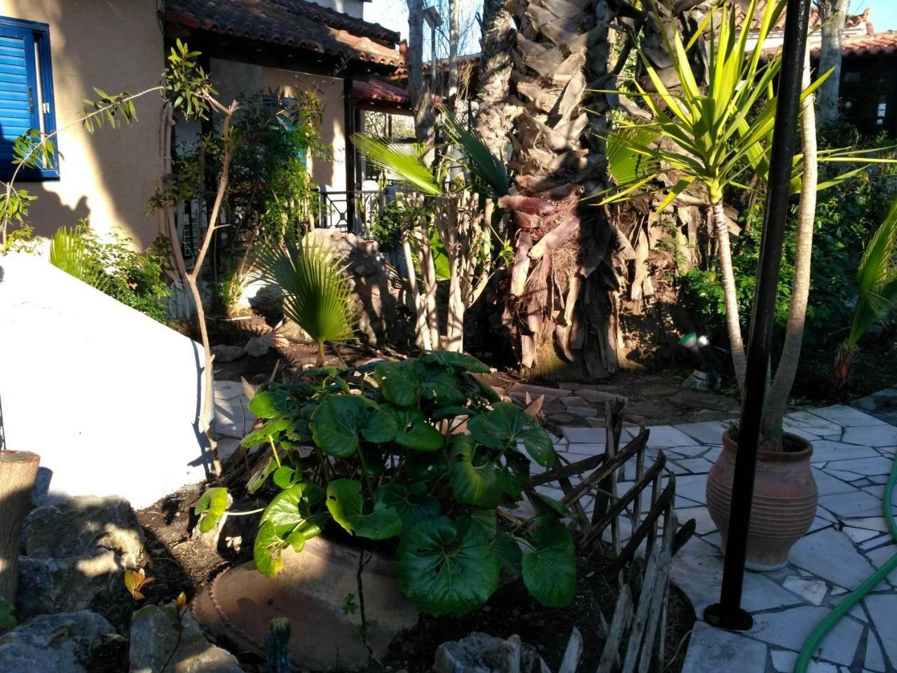 9 Musses Hotel Apartments Skala Mistegnon Exterior foto